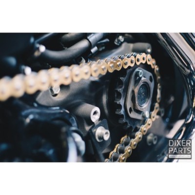 Chain drive kit 21/55 ALUMINUM + GOLD DID chain 530 VX – Harley Davidson XL XR 1200 Sportster (04-19) – stunt
